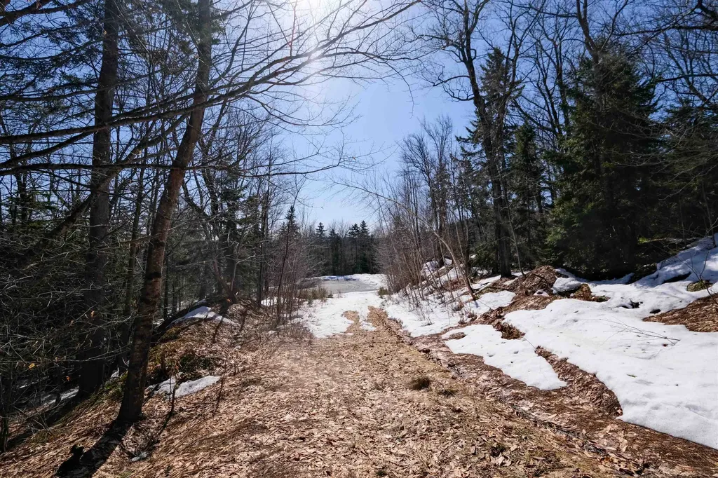 0 Turtle Hill Road Ludlow VT 05149