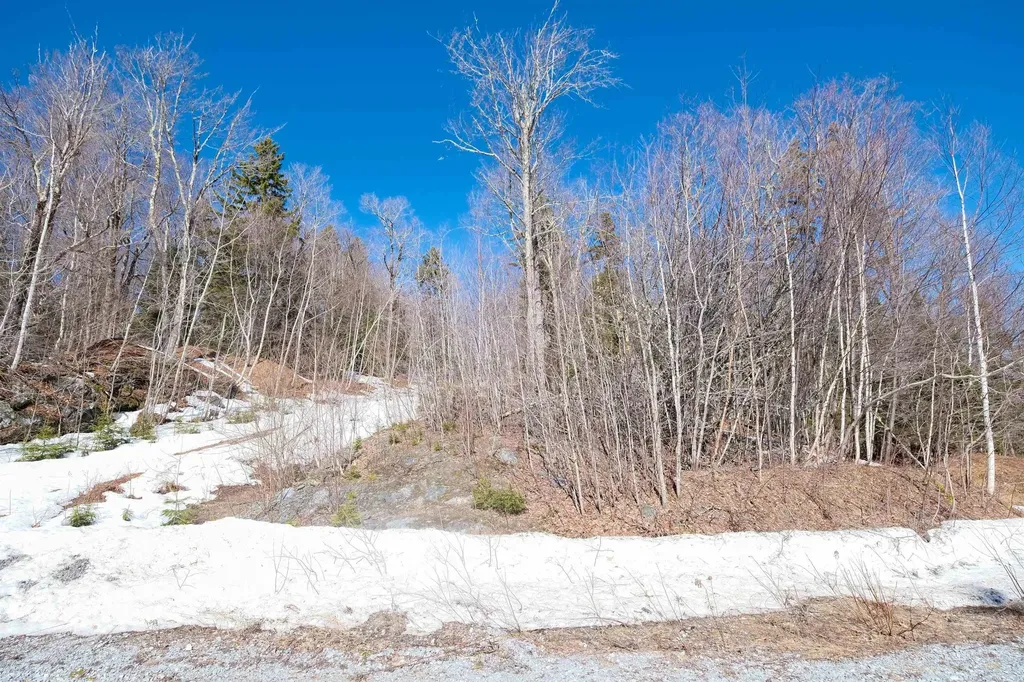 0 Turtle Hill Road Ludlow VT 05149