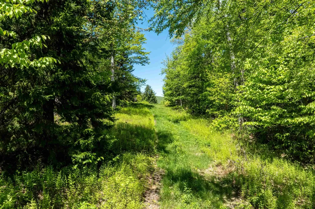 0 Turtle Hill Road Ludlow VT 05149