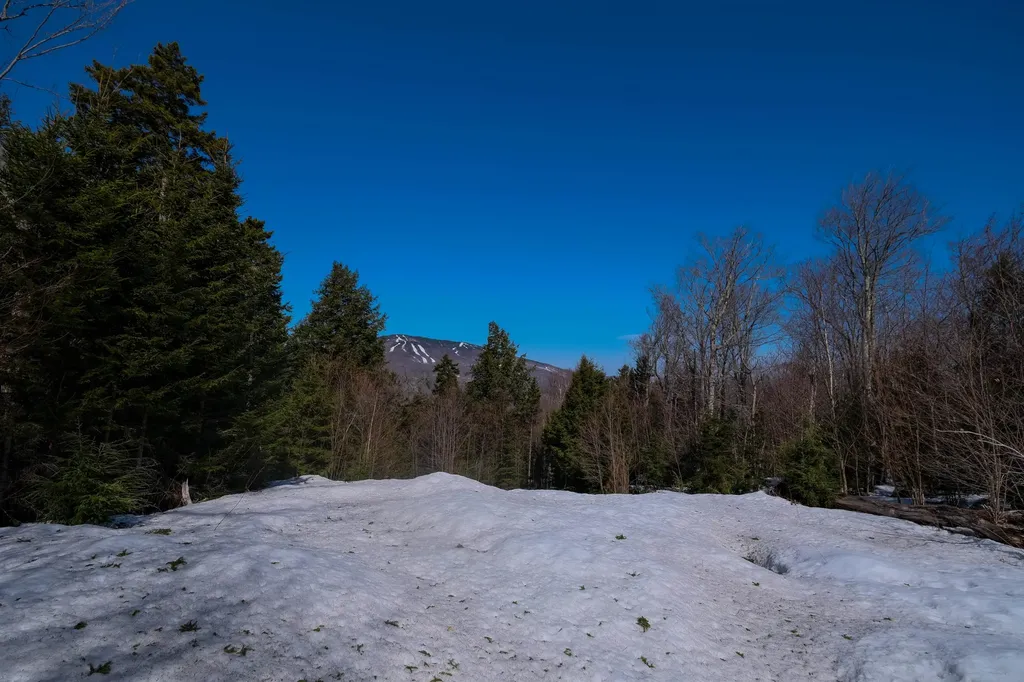 0 Turtle Hill Road Ludlow VT 05149