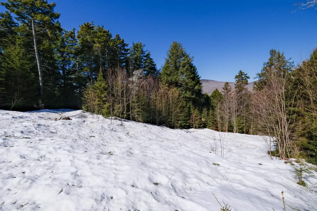 0 Turtle Hill Road Ludlow VT 05149