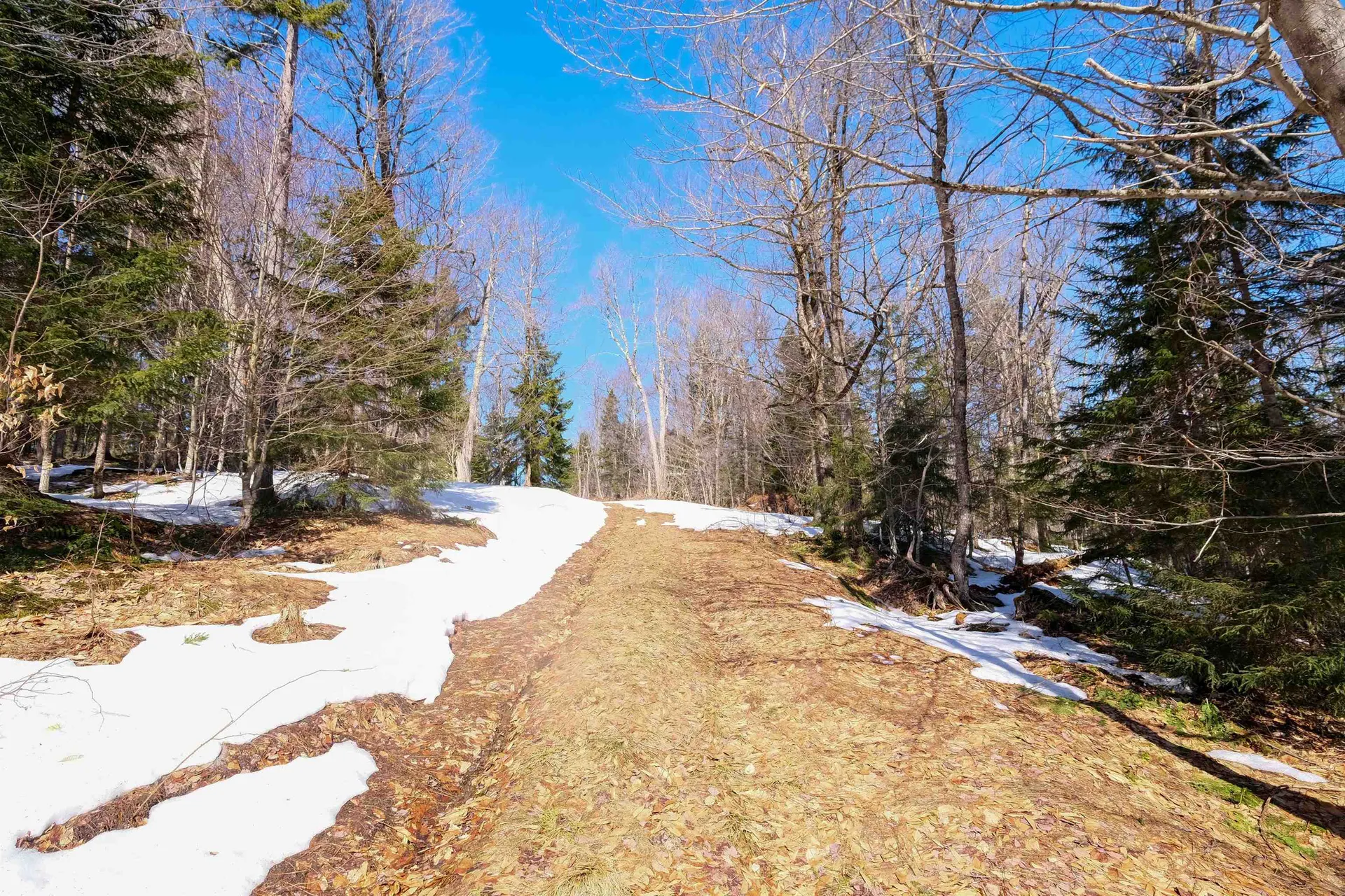 0 Turtle Hill Road Ludlow VT 05149