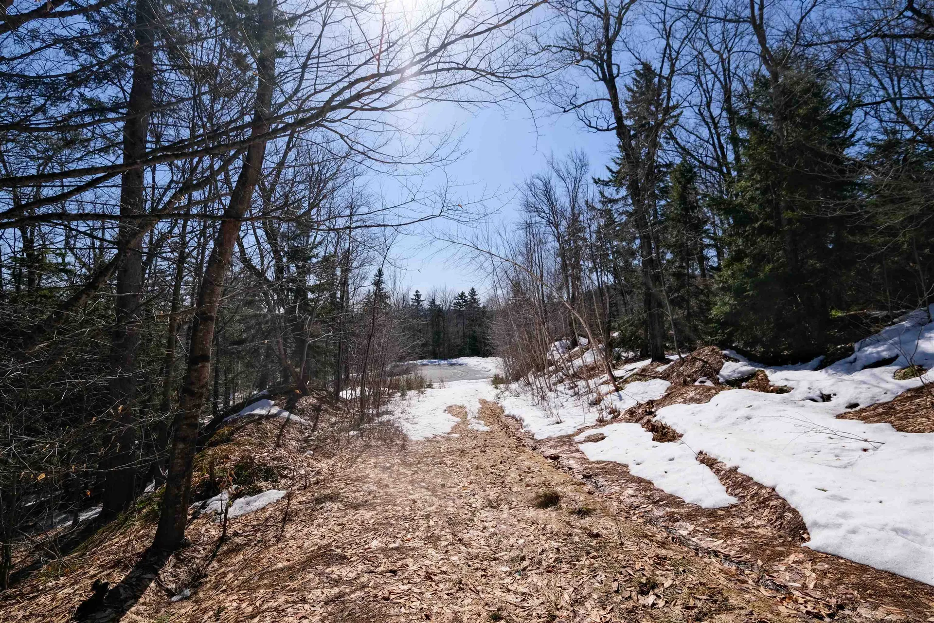 0 Turtle Hill Road Ludlow VT 05149