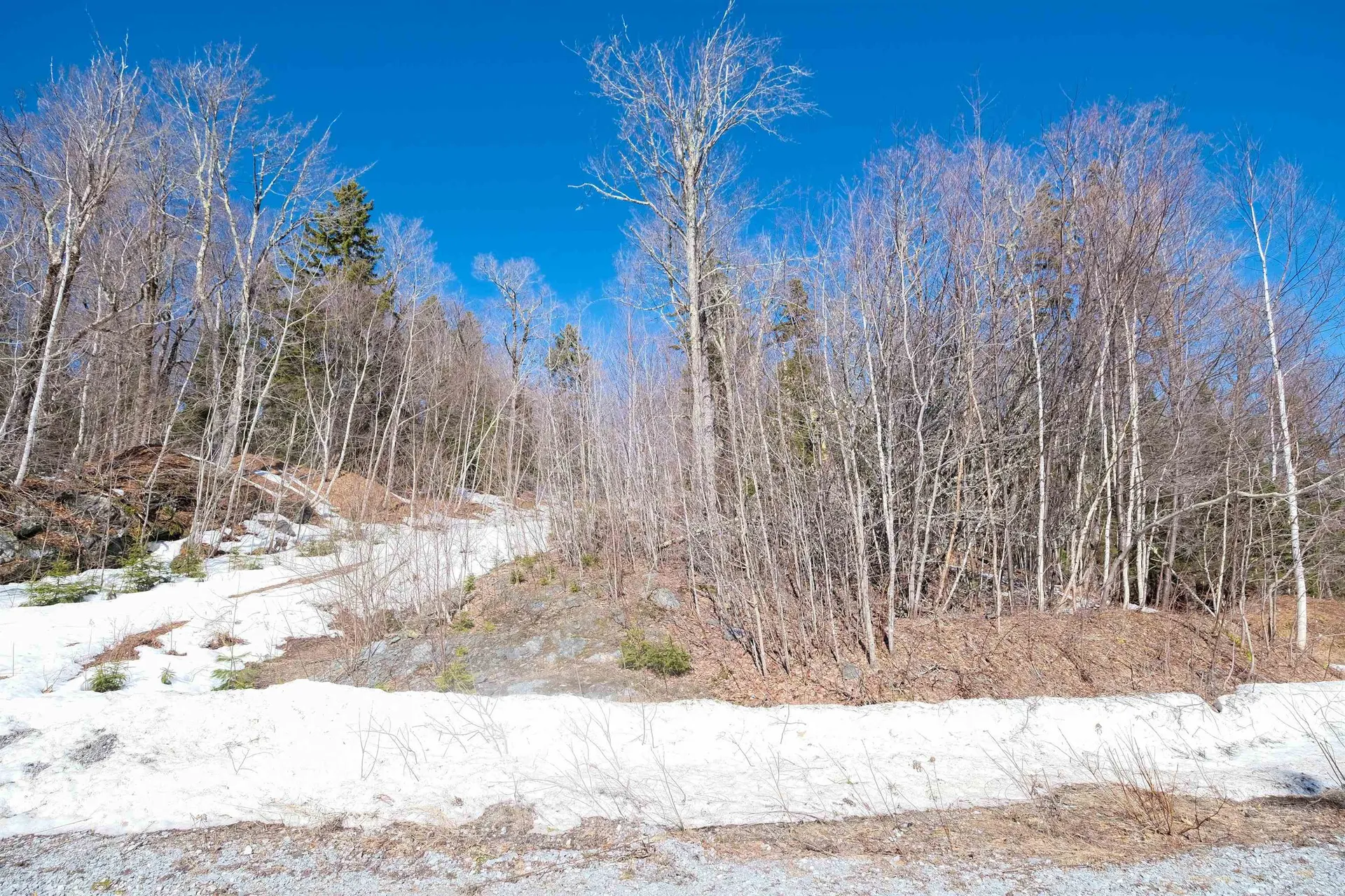 0 Turtle Hill Road Ludlow VT 05149