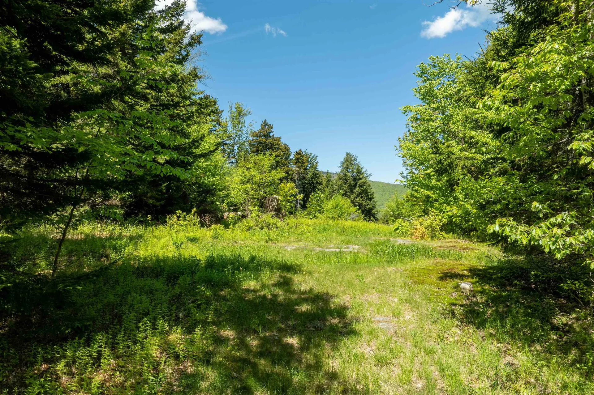 0 Turtle Hill Road Ludlow VT 05149