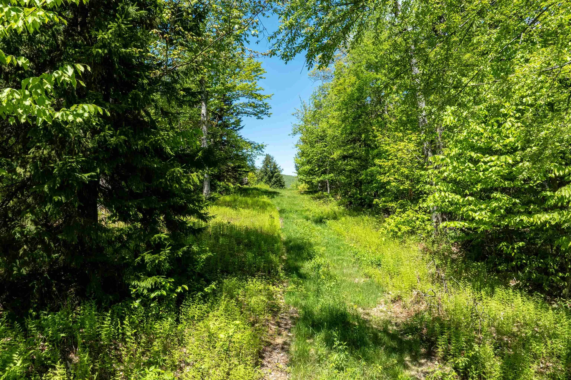 0 Turtle Hill Road Ludlow VT 05149