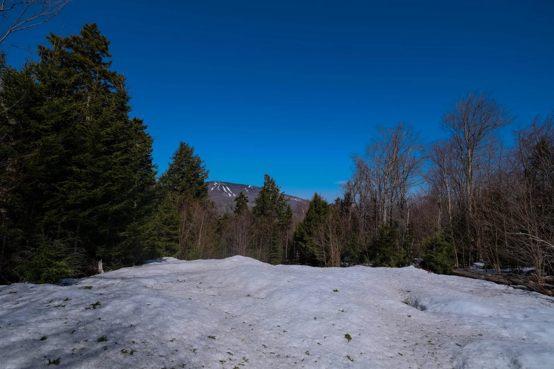 0 Turtle Hill Road Ludlow VT 05149