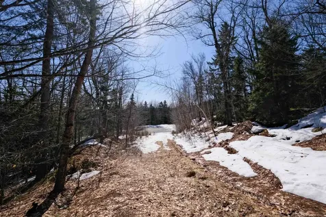 0 Turtle Hill Road Ludlow VT 05149