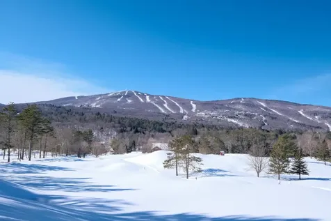 0 Turtle Hill Road Ludlow VT 05149