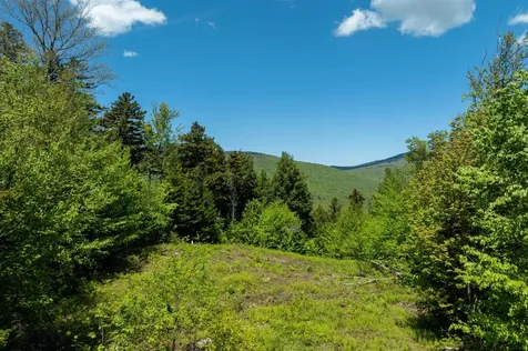 0 Turtle Hill Road Ludlow VT 05149