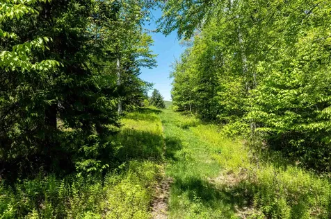 0 Turtle Hill Road Ludlow VT 05149