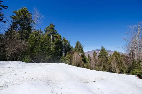 0 Turtle Hill Road Ludlow VT 05149