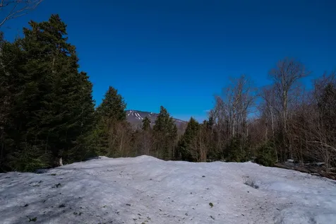 0 Turtle Hill Road Ludlow VT 05149