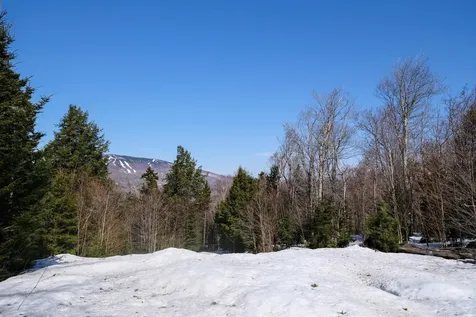 0 Turtle Hill Road Ludlow VT 05149
