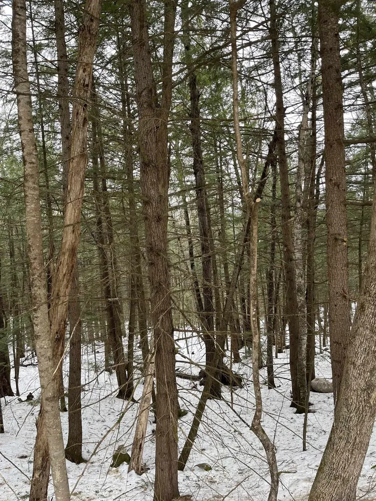 4-2-16 Morrill Circle Campton NH 03223