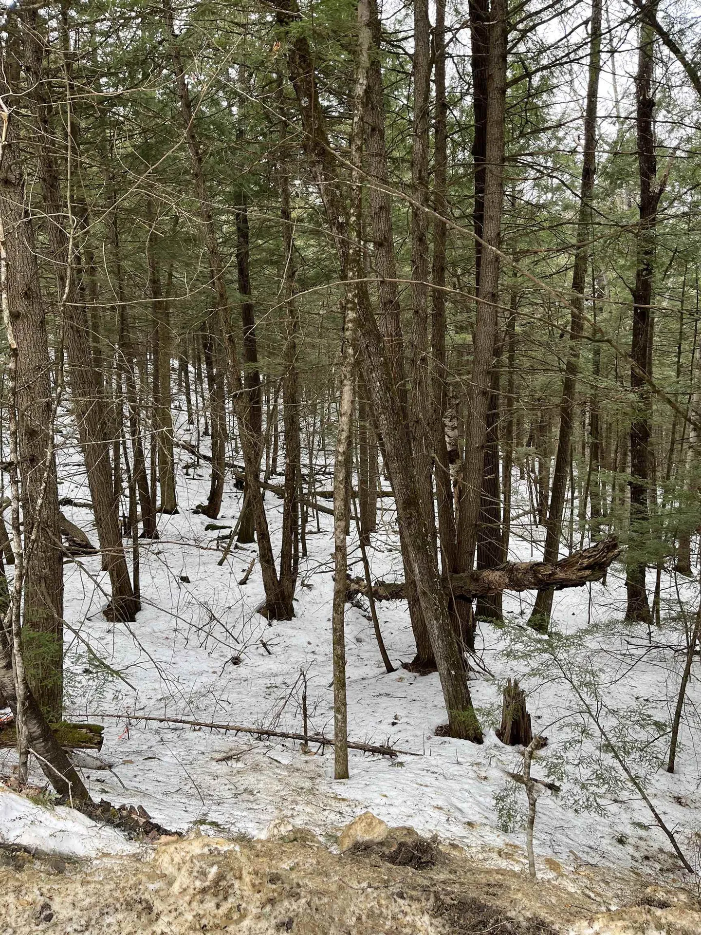 4-2-16 Morrill Circle Campton NH 03223