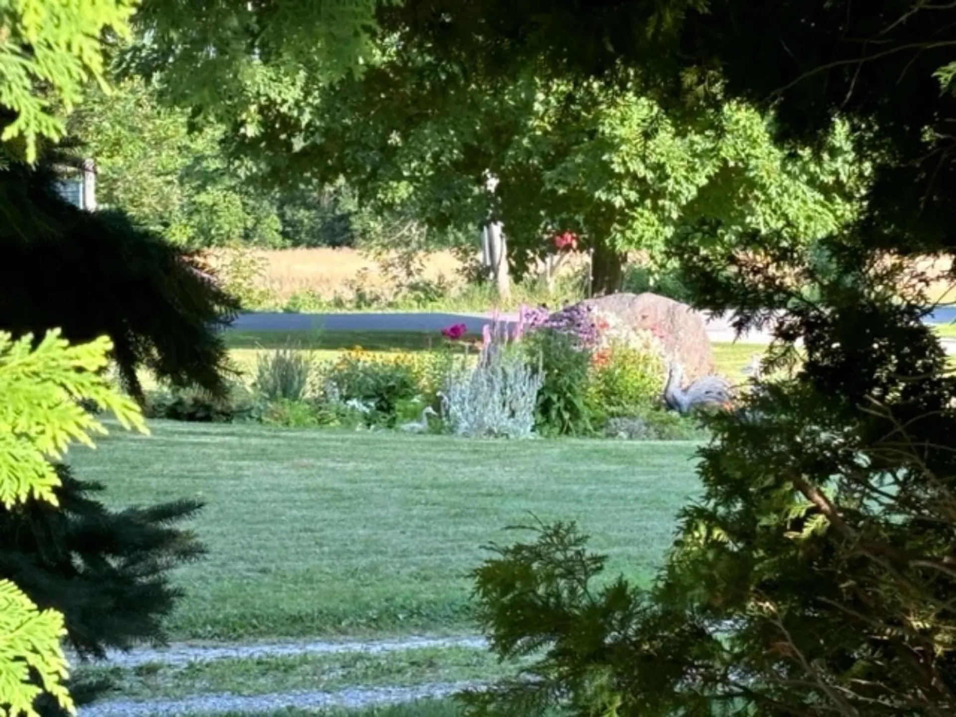 75 Adams School Road Grand Isle VT 05458