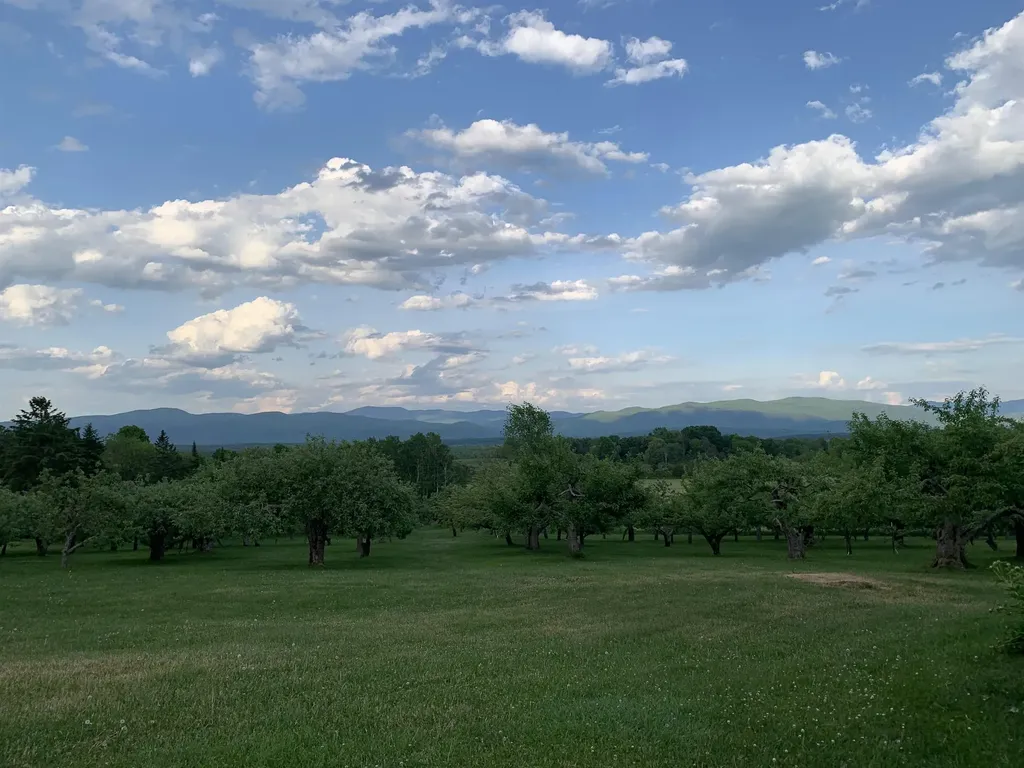 1491 Route 30 Cornwall VT 05753