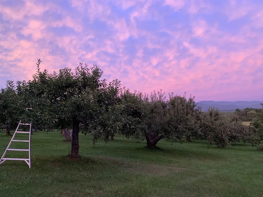 1491 Route 30 Cornwall VT 05753