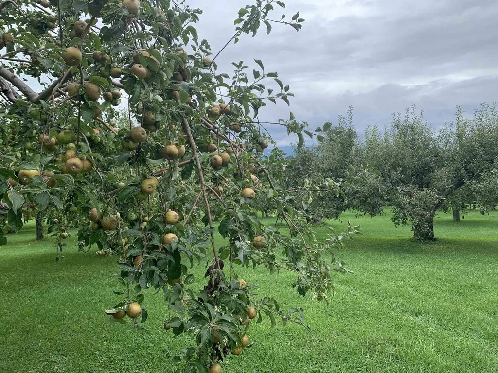 1491 Route 30 Cornwall VT 05753