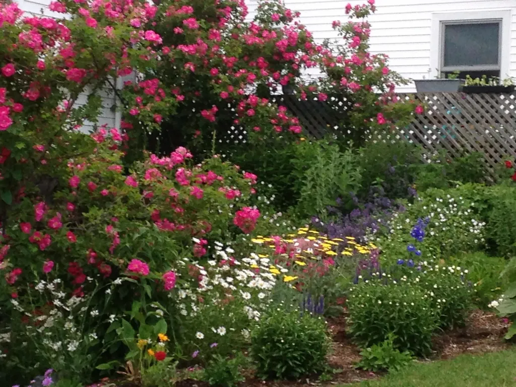 1491 Route 30 Cornwall VT 05753