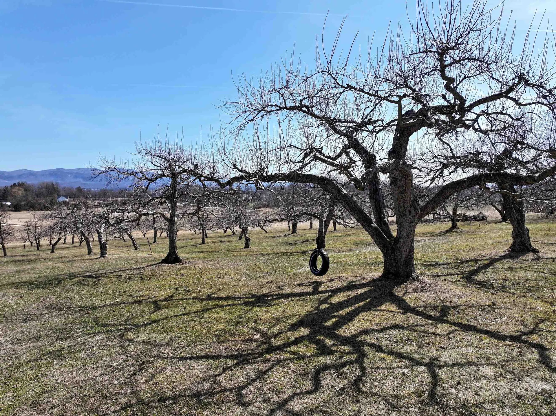 1491 Route 30 Cornwall VT 05753