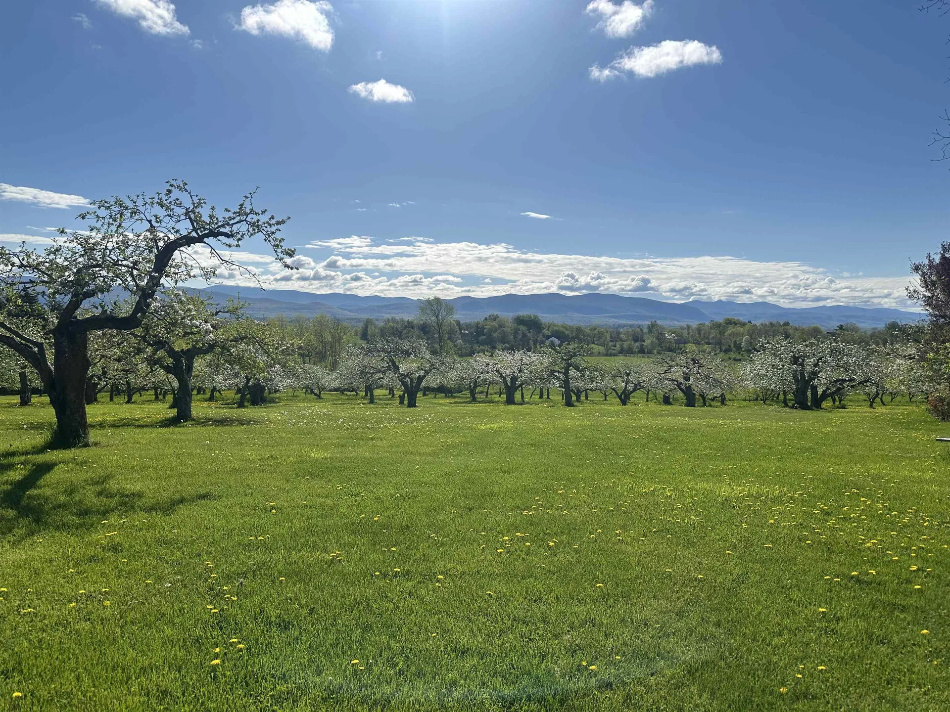 1491 Route 30 Cornwall VT 05753