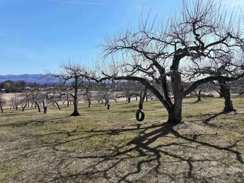 1491 Route 30 Cornwall VT 05753