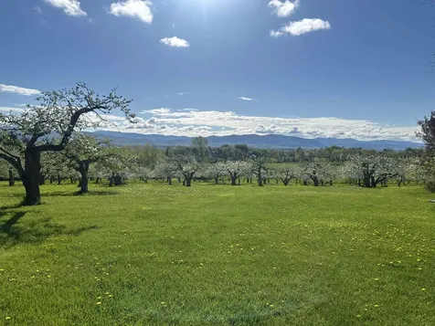 1491 Route 30 Cornwall VT 05753