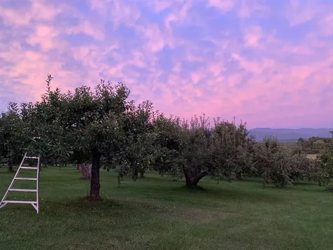 1491 Route 30 Cornwall VT 05753