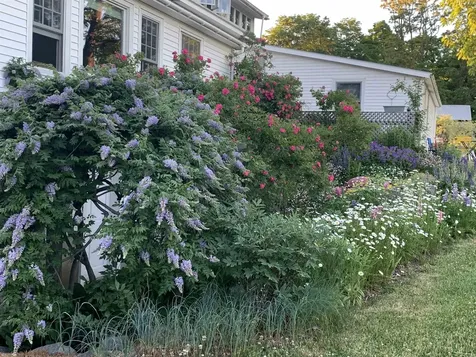 1491 Route 30 Cornwall VT 05753