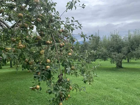 1491 Route 30 Cornwall VT 05753