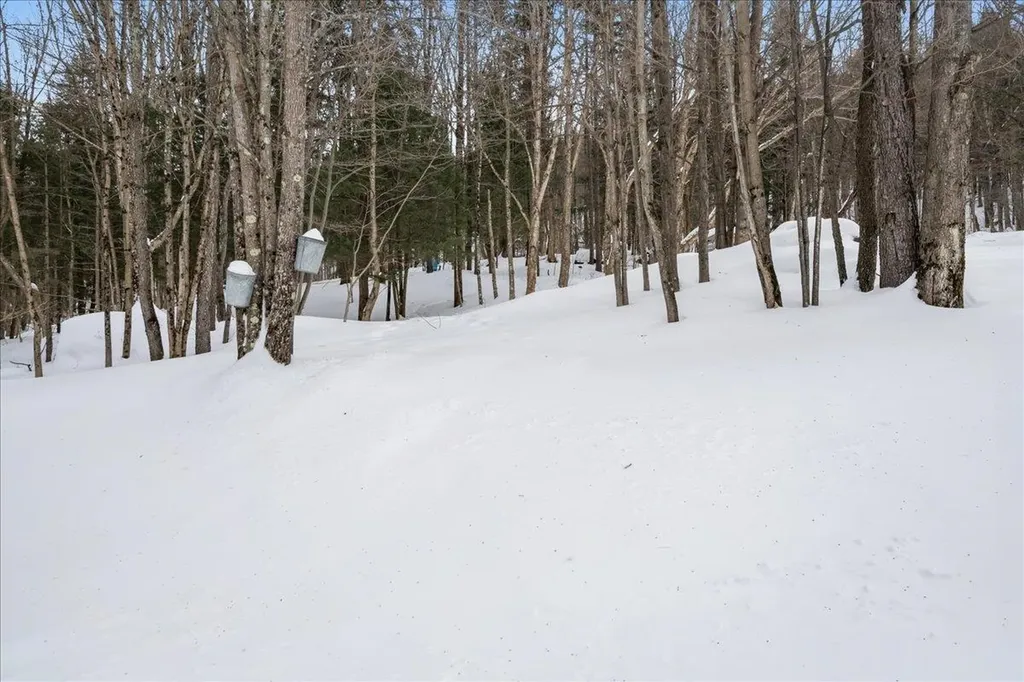 133 Ash Lane Cambridge VT 05464