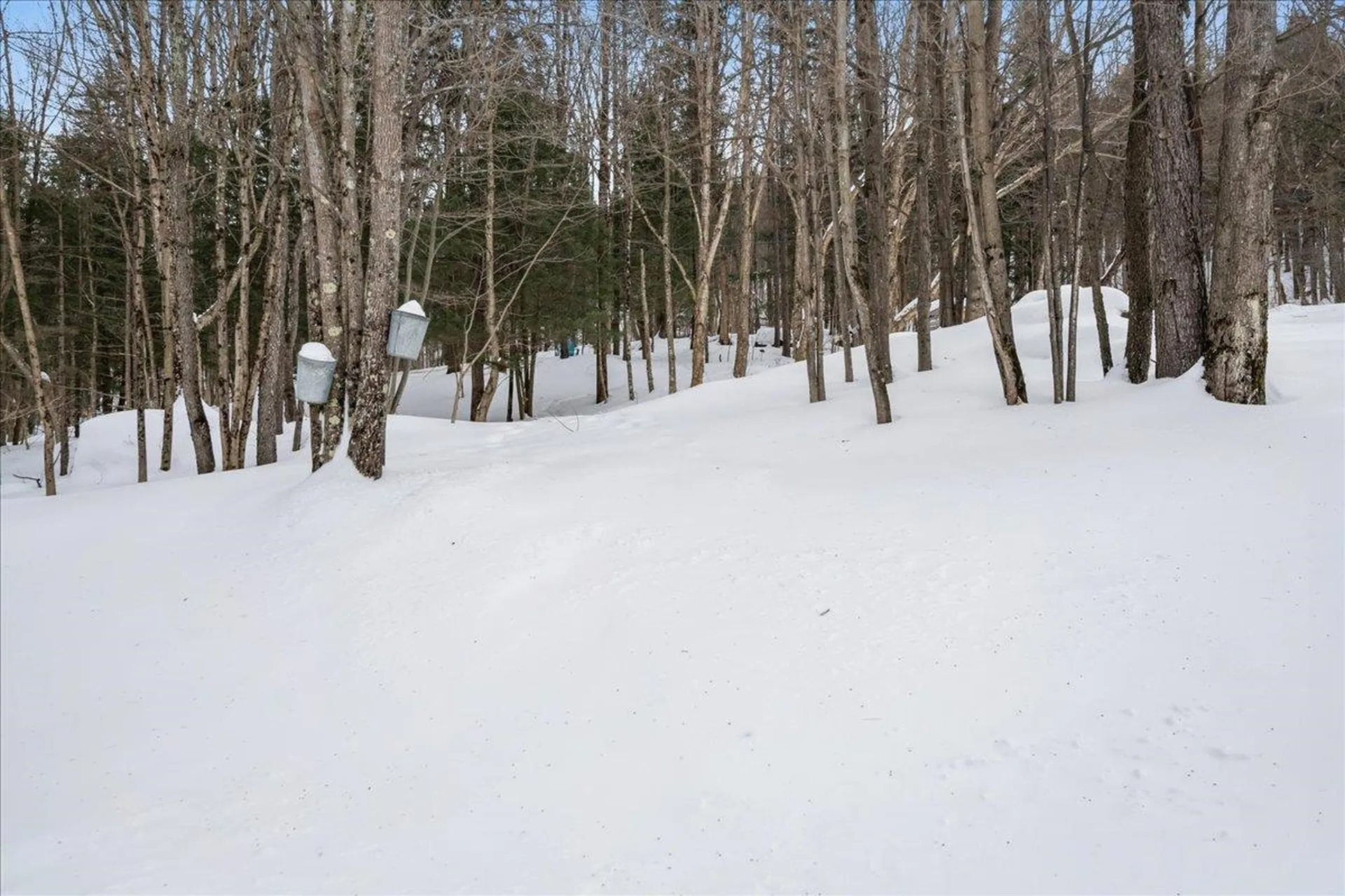 133 Ash Lane Cambridge VT 05464