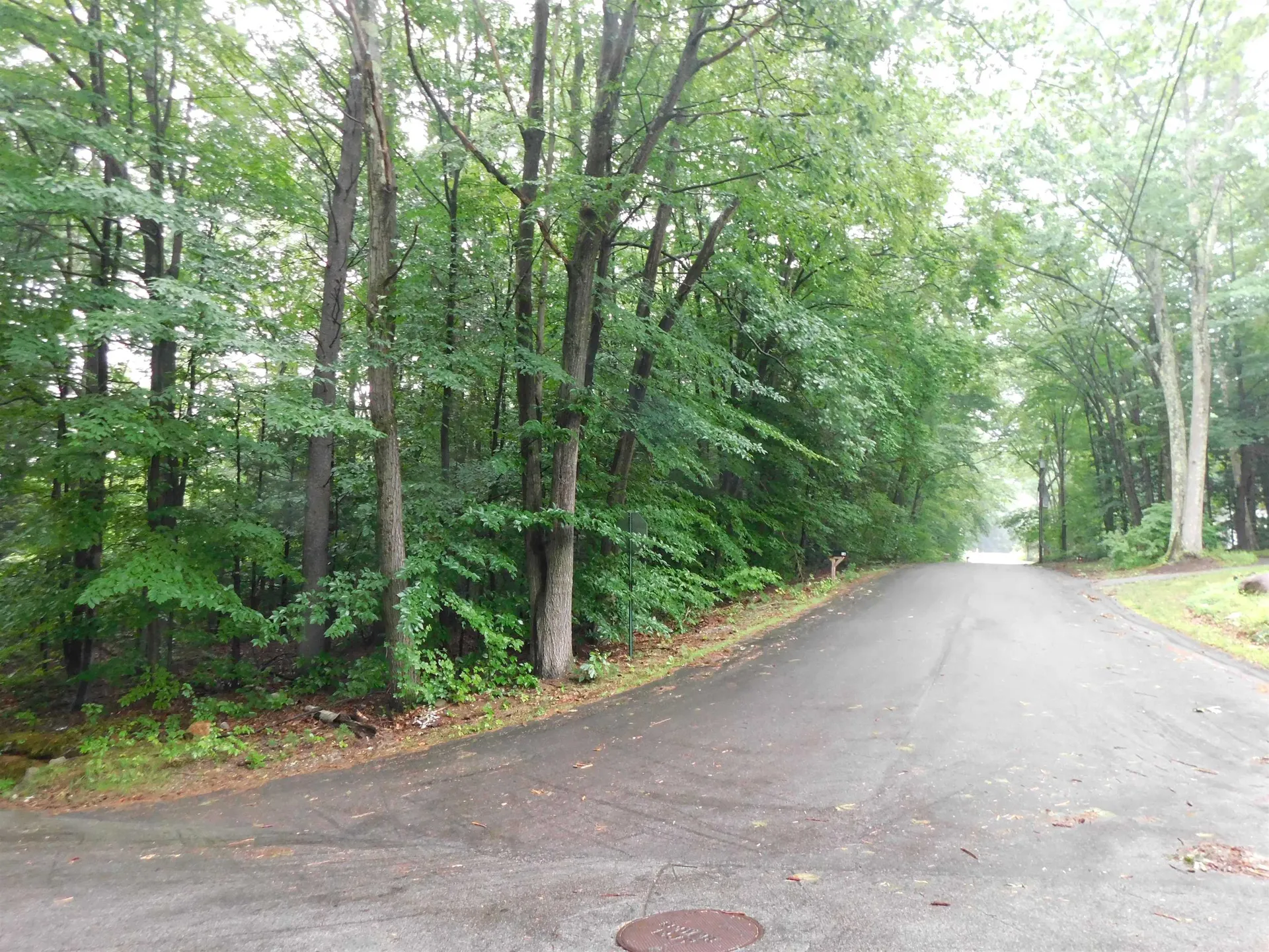 Lots 4 & 7 Gibbons & Robbins Road Wilton NH 03086