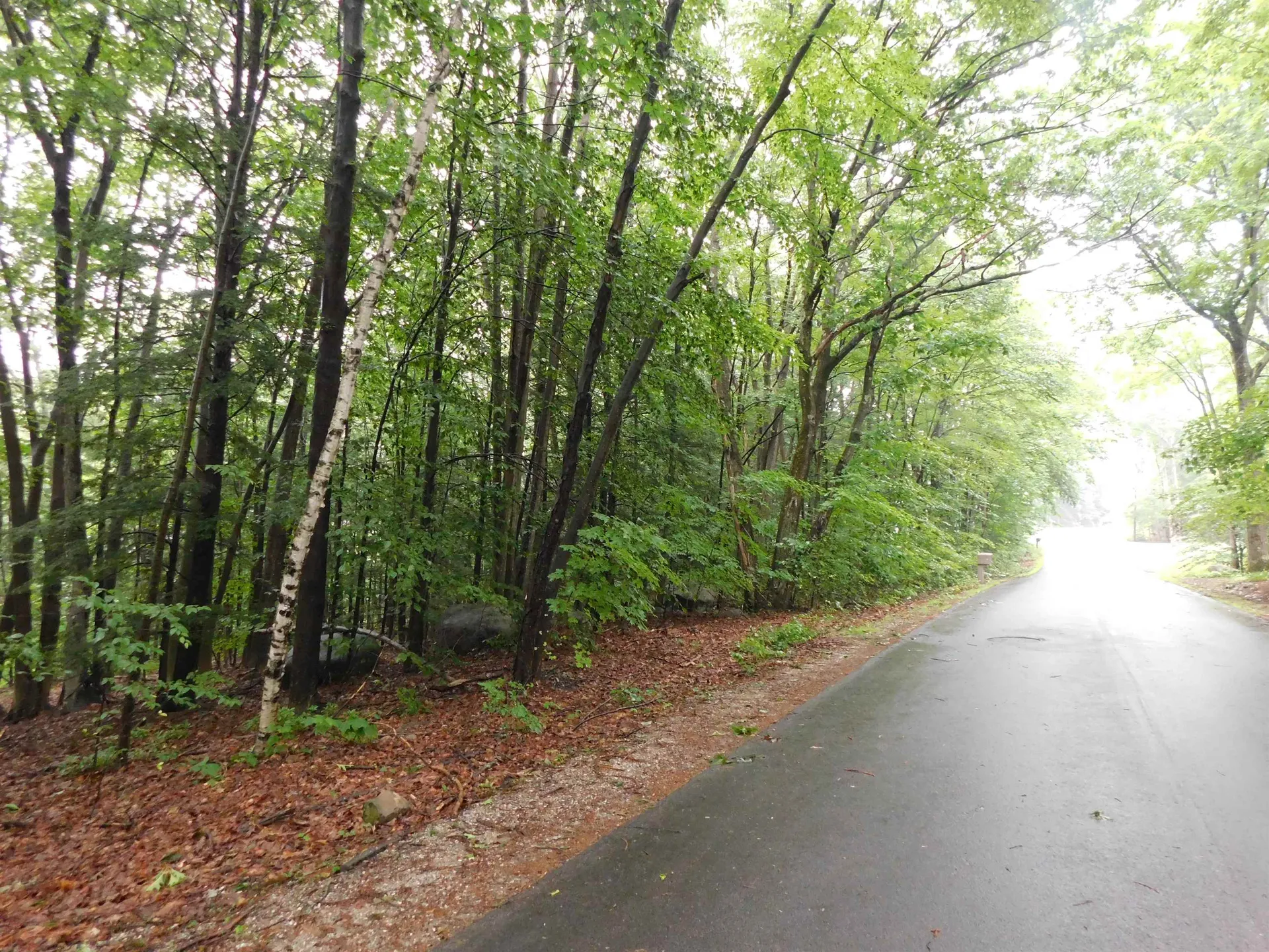 Lots 4 & 7 Gibbons & Robbins Road Wilton NH 03086