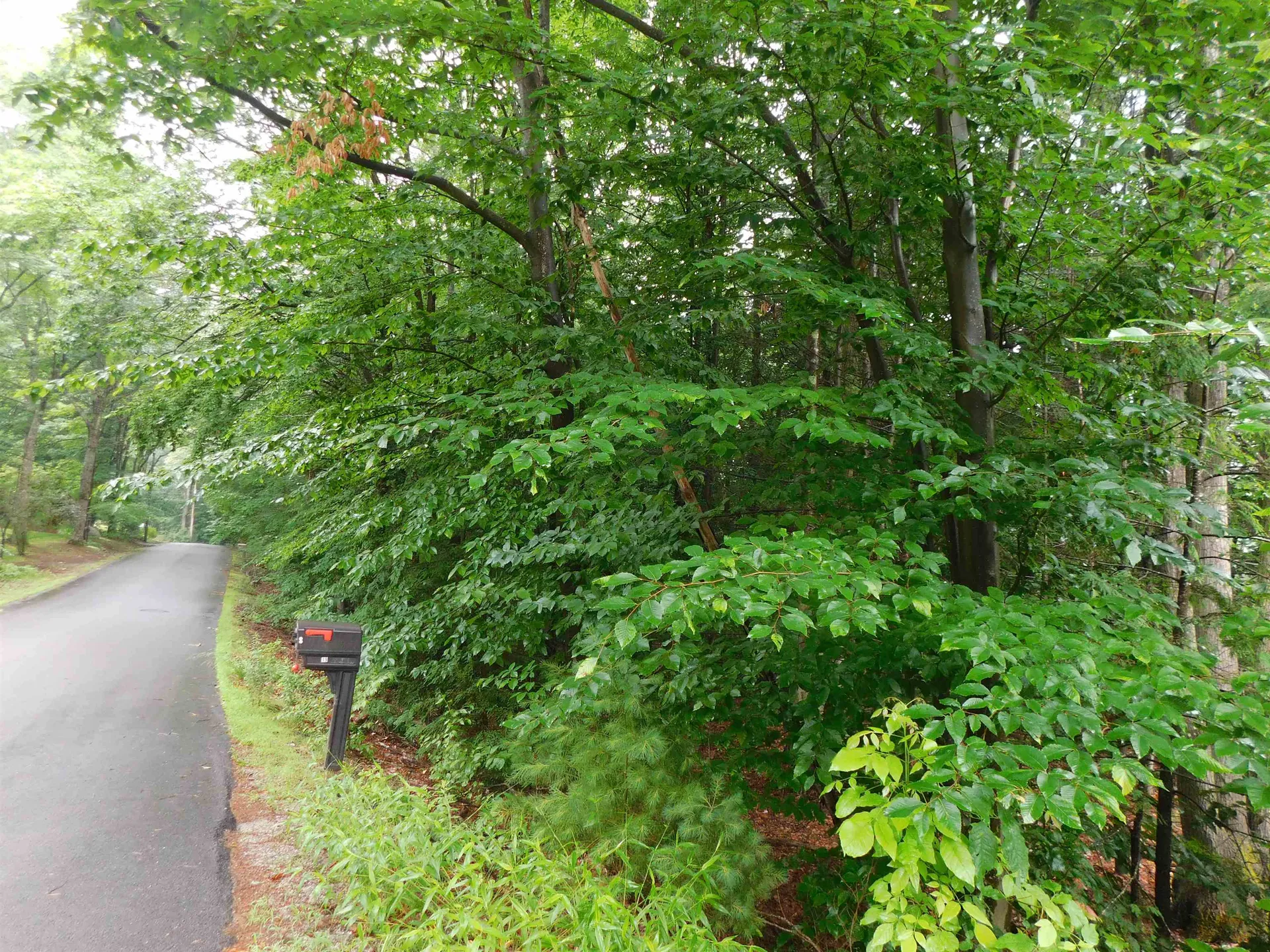 Lots 4 & 7 Gibbons & Robbins Road Wilton NH 03086