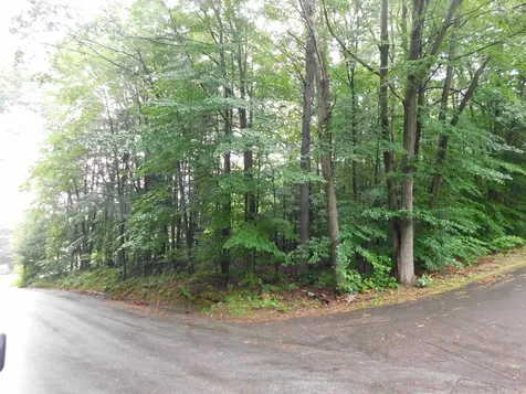 Lots 4 & 7 Gibbons & Robbins Road Wilton NH 03086