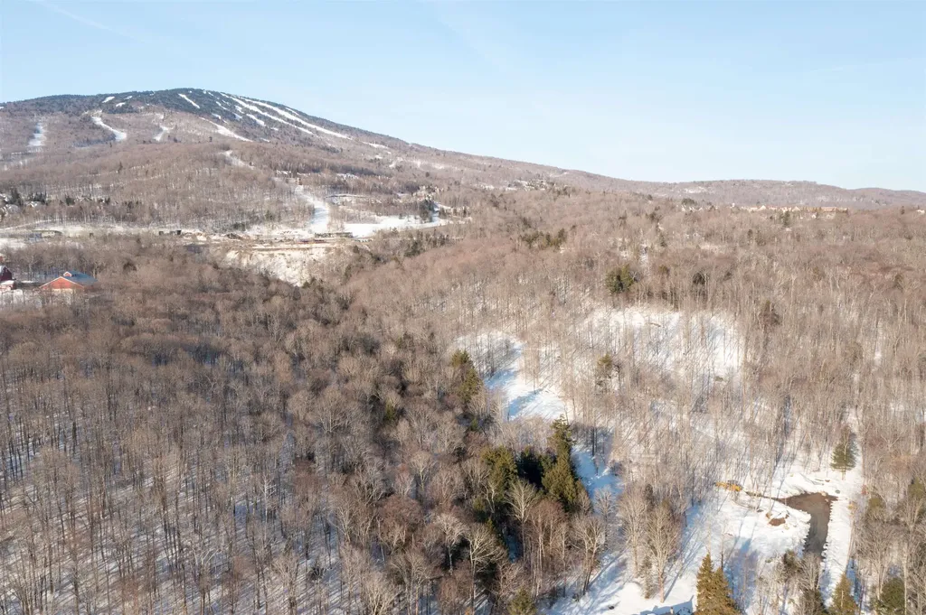Lot#2 Margeaux Lane Stratton VT 05155