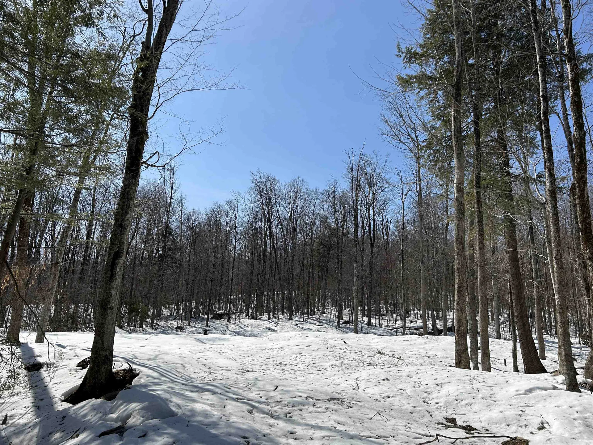 LOT#2 Margeaux Lane Stratton VT 05155