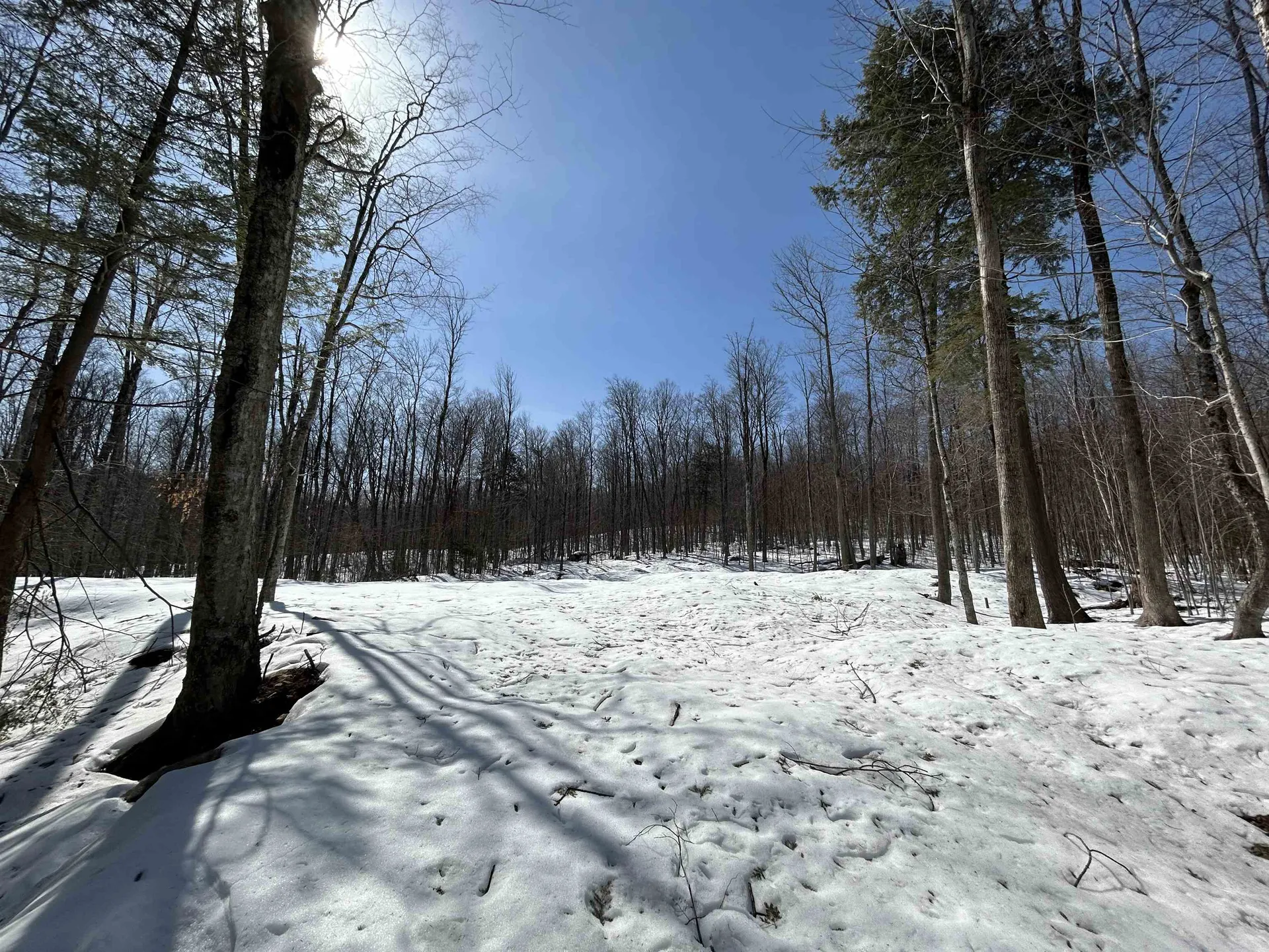 LOT#2 Margeaux Lane Stratton VT 05155