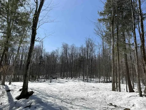 Lot#2 Margeaux Lane Stratton VT 05155