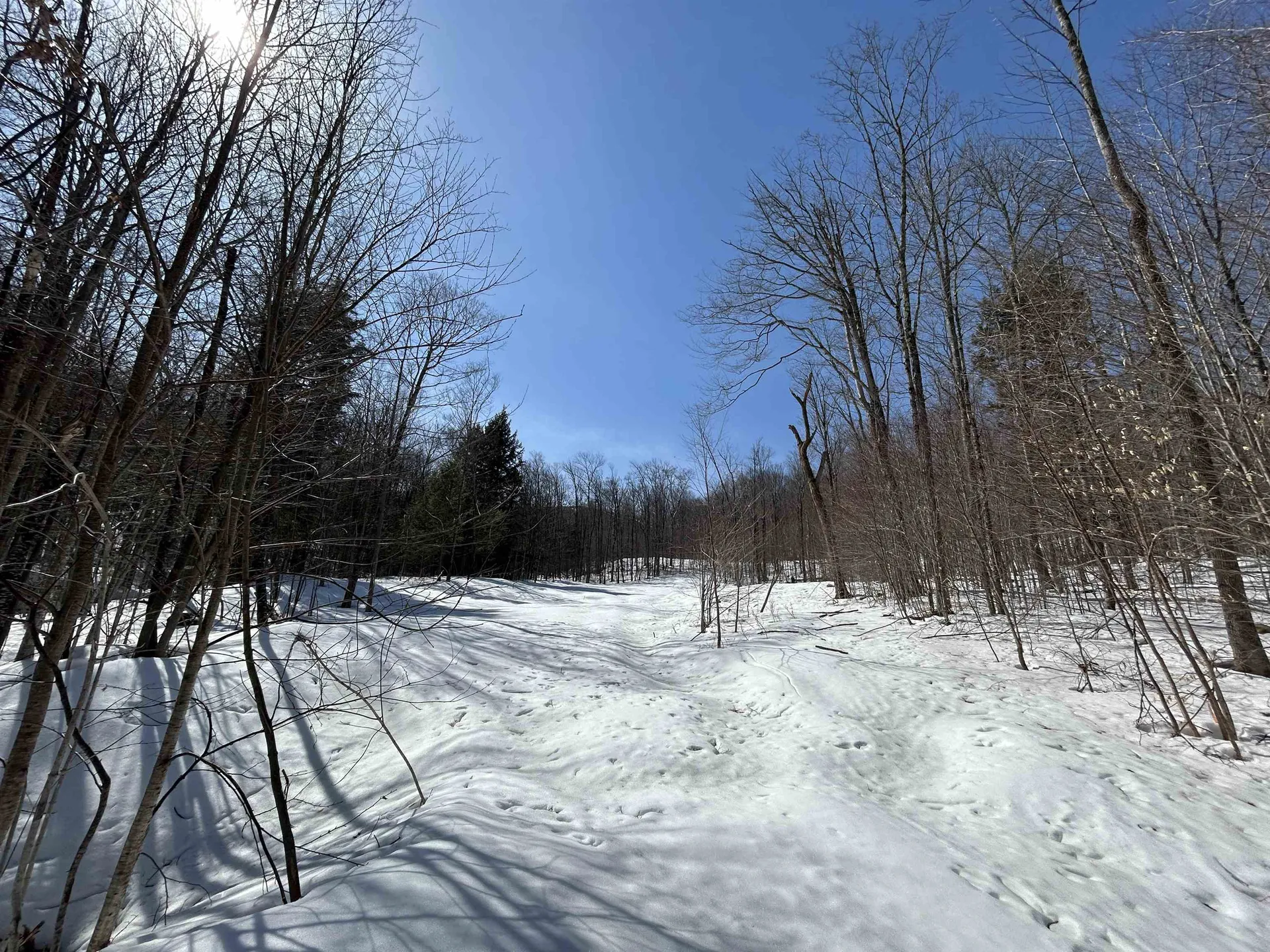 Lot #4 Margeaux Lane Stratton VT 05155