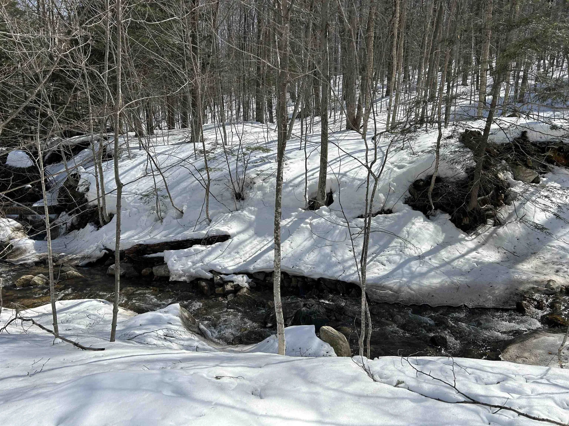 Lot #4 Margeaux Lane Stratton VT 05155