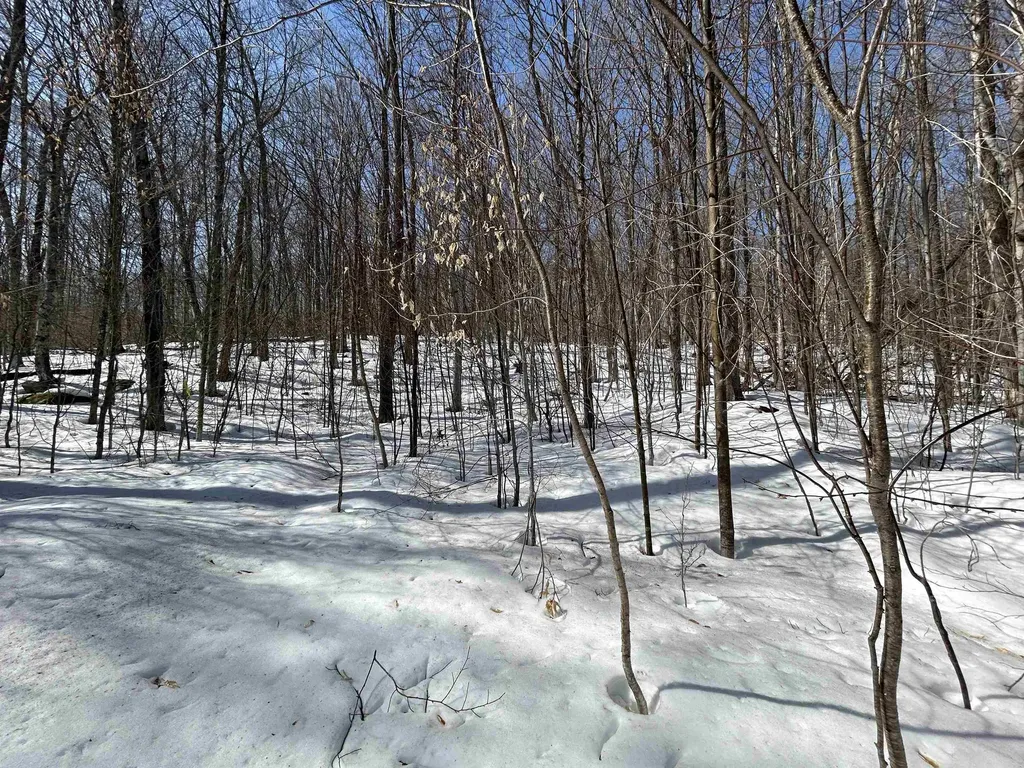 00 Margeaux Lane Stratton VT 05155