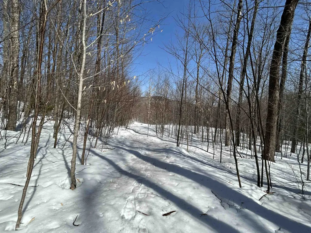 00 Margeaux Lane Stratton VT 05155