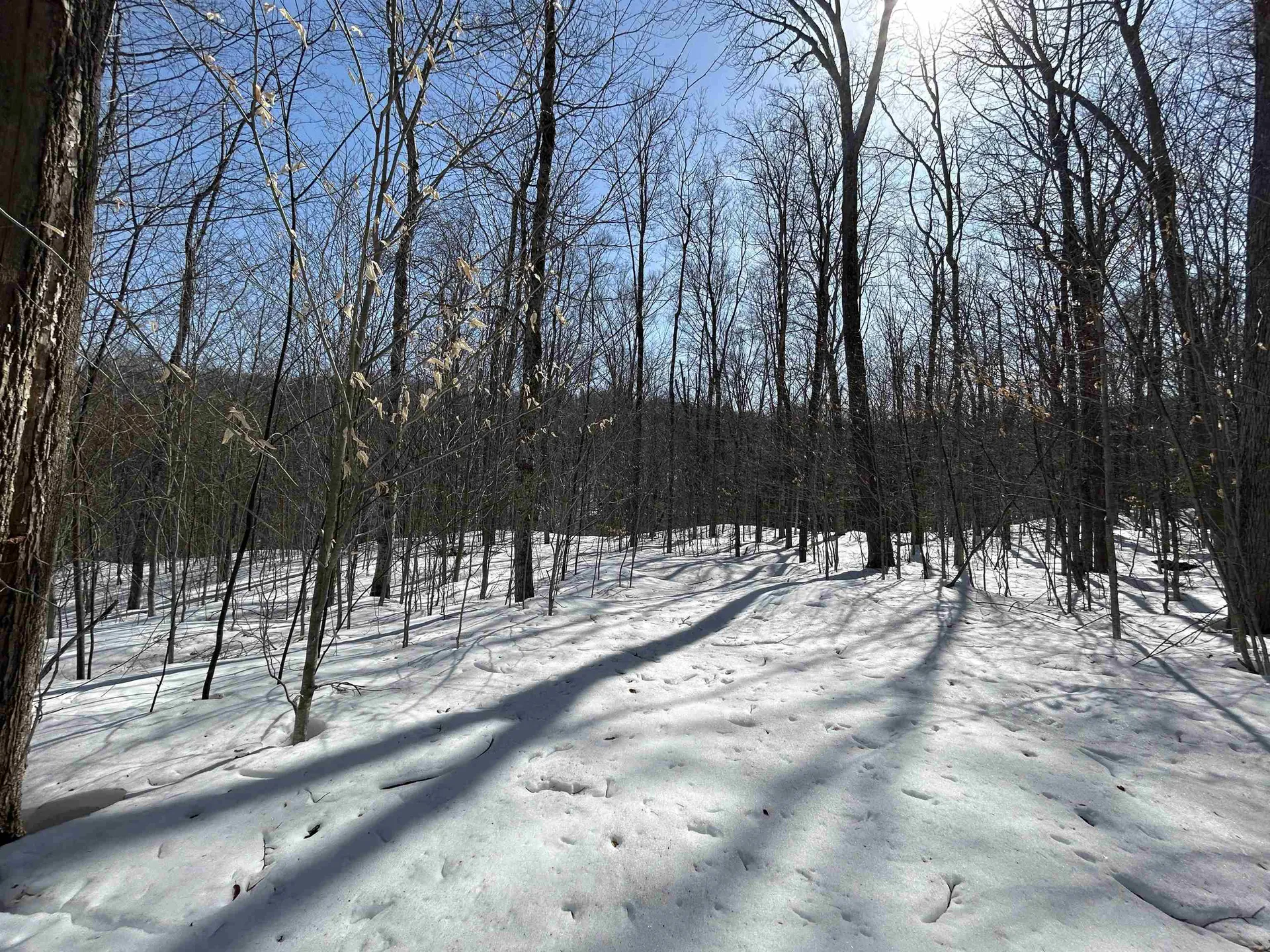 00 Margeaux Lane Stratton VT 05155