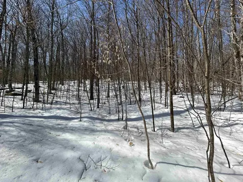 00 Margeaux Lane Stratton VT 05155