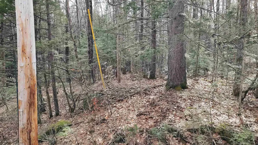 Lot 2-31-6 Bessie Leavitt Lane New Boston NH 03070