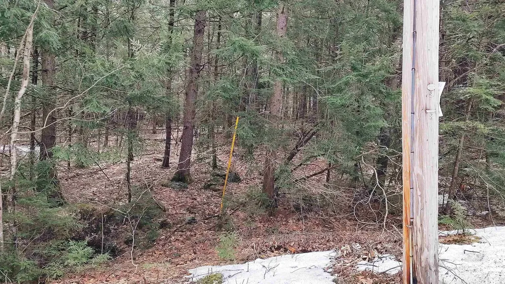 Lot 2-31-6 Bessie Leavitt Lane New Boston NH 03070